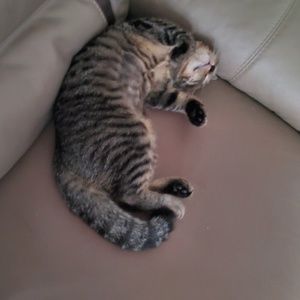 Meet your Posher, Nadia